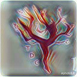 FB_IMG_1487536068212